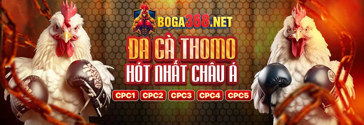 Hình ảnh tổng hợp các trò chơi cá cược tại BK8